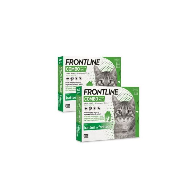 Frontline