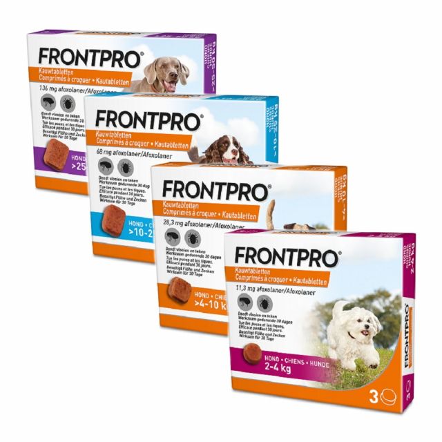 Frontpro | Chien