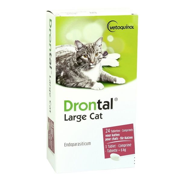 Drontal comprimé vermifuge grand chat