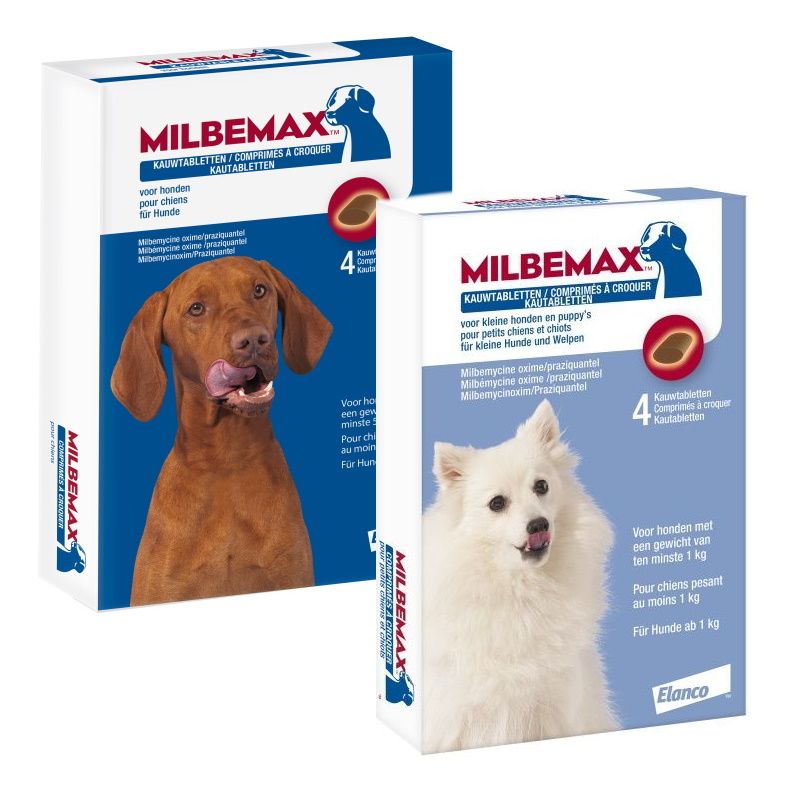 Le milbemax, un vermifuge pour chien et chat - Nos conseils
