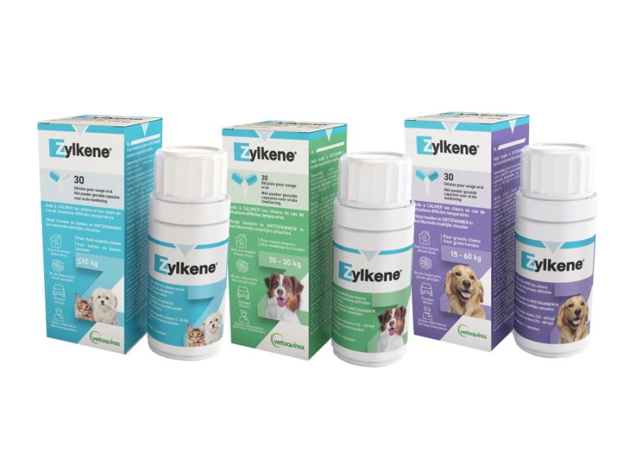 Zylkene anti stress chiens et chats 75mg (1-10kg) - 100 gellules