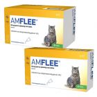 Onsior Chat 6mg 60 Comprimes