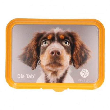 Dia Tab 5,5 gram 20 tabletten