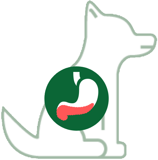 Pancréas