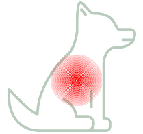 Douleur | Inflammation